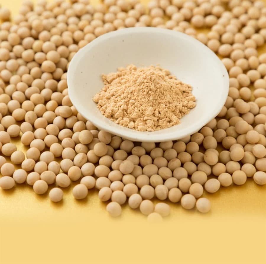 Soybean flour
