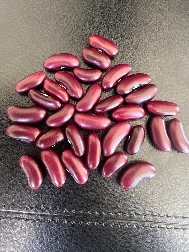 Dry Kidney Beans