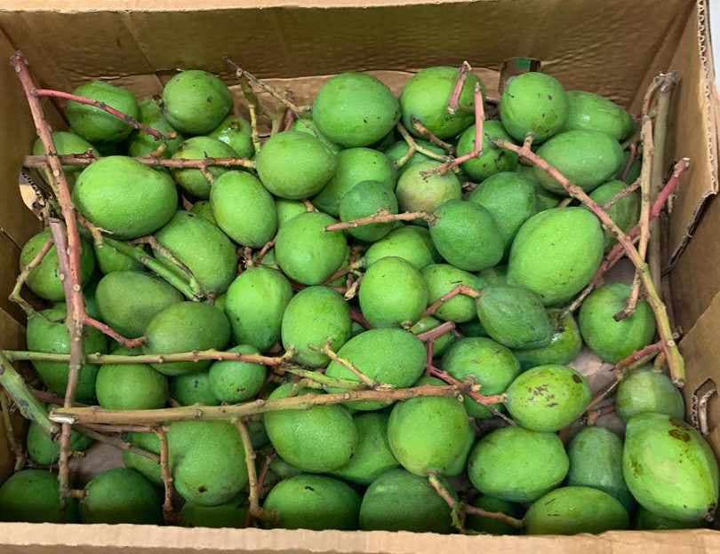 Green Mangoes