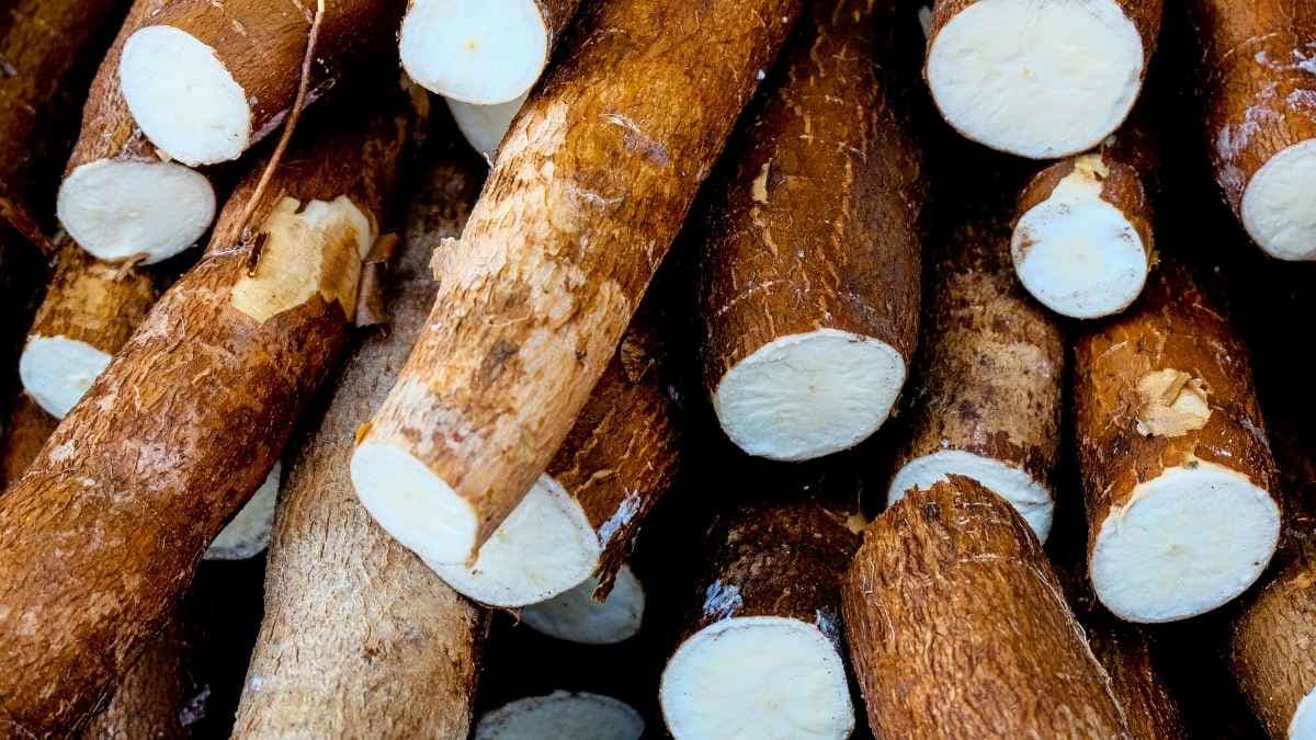 Fresh Cassava