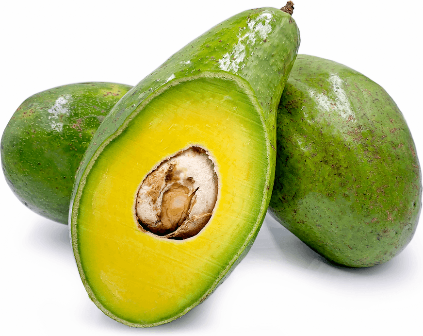 Fuerte Avocados