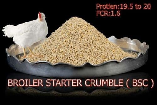 Broilier Starter Crumbles