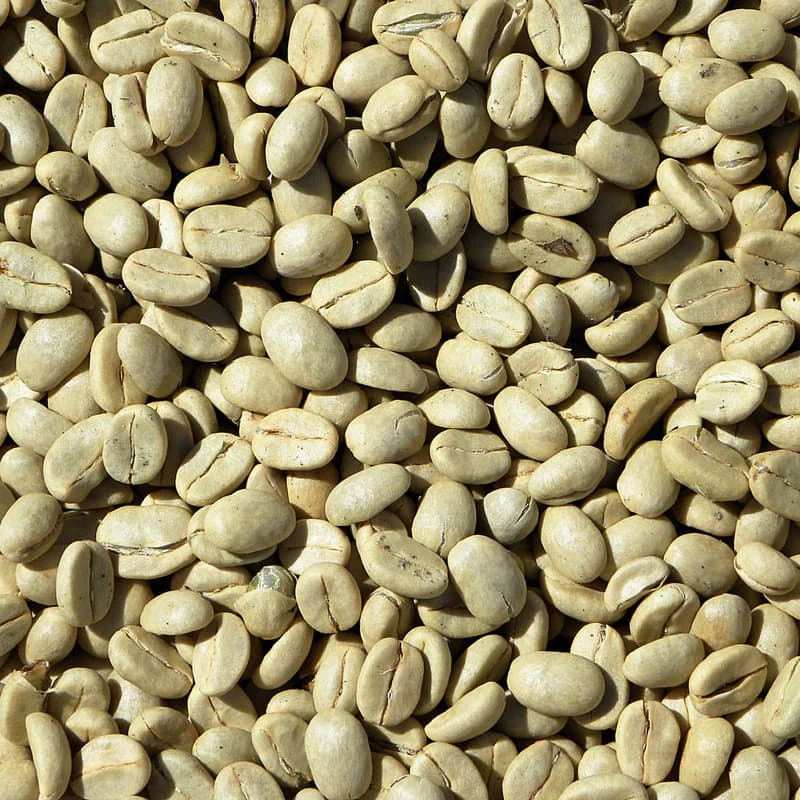 Arabica Coffee